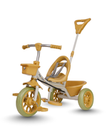 __Off-White / Beige / Olive