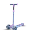 Moulded Kick Scooter With Led Wheels