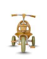 __Off-White / Beige / Olive