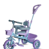 Tricycle With Harness